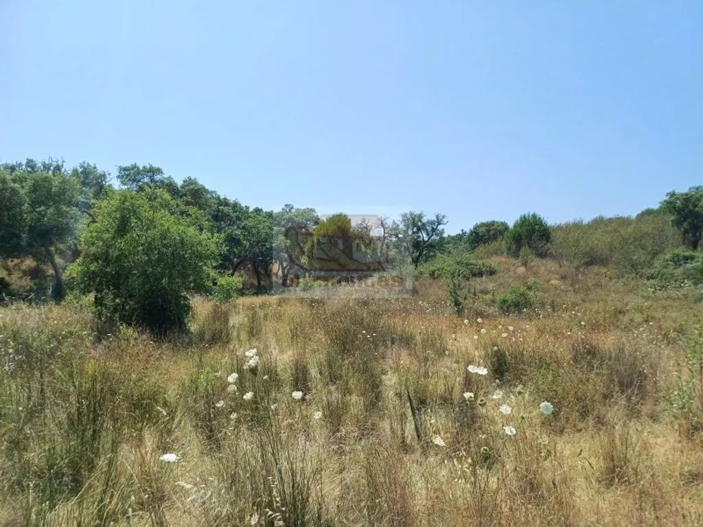 Garden - Development Land with Mountain Views in Grândola