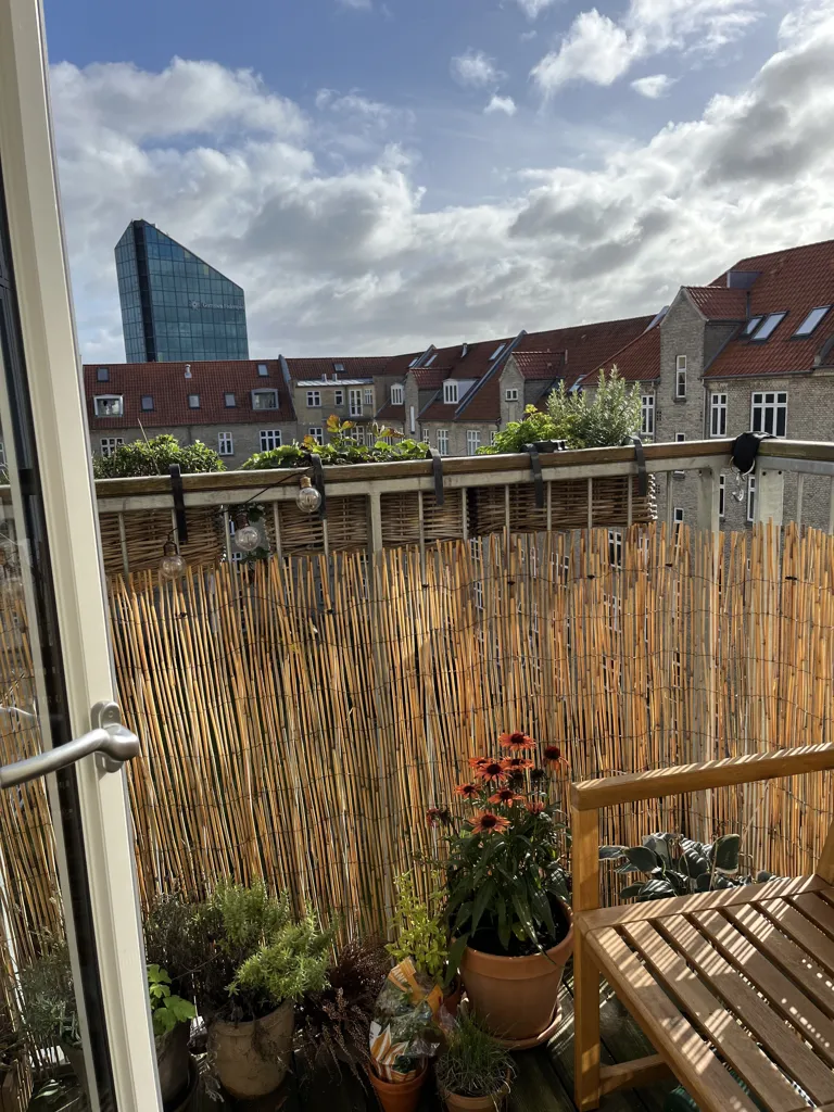 Rõdu - Two-Bedroom Flat with Balcony near Botanical Garden