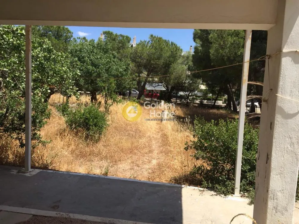 Terrazza - Villa with Garden in Eastern Attica