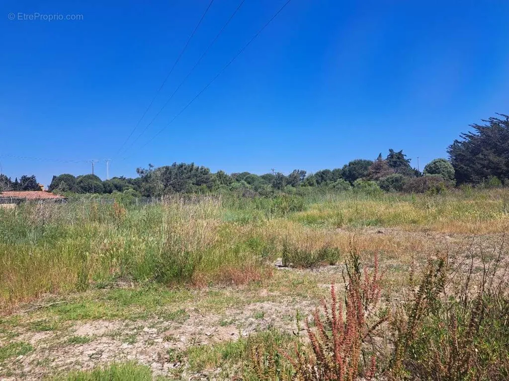 Terrain à Serignan