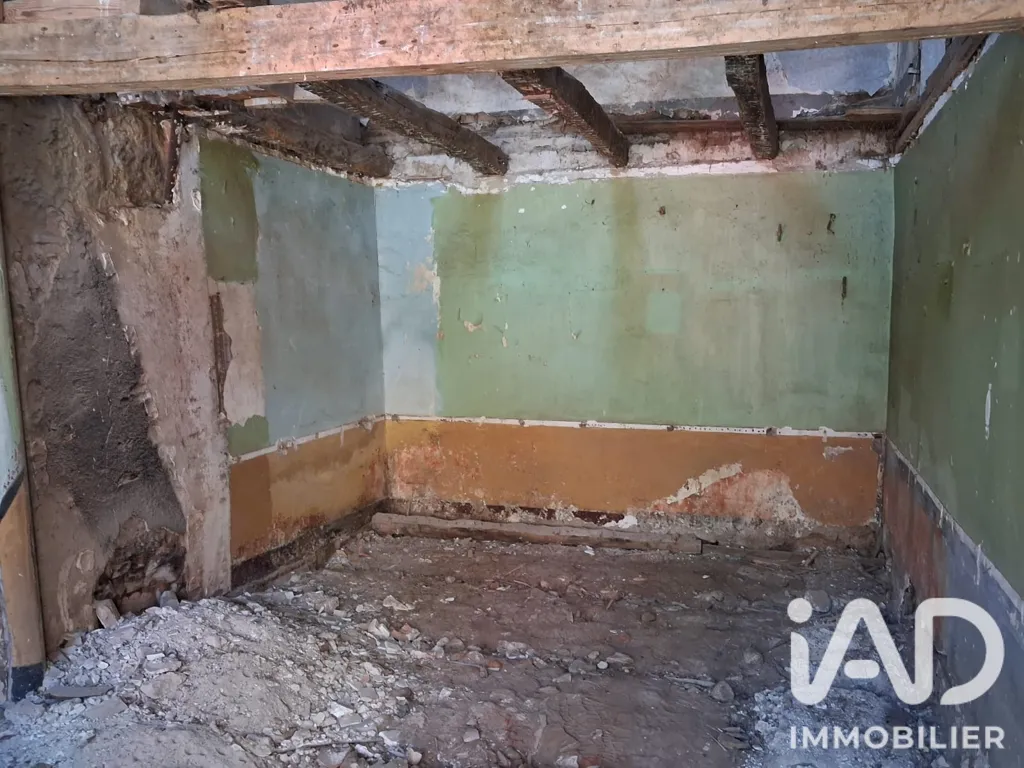 Toad - Village House for Renovation in Cazals