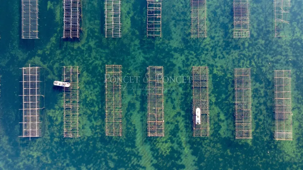 Vue aérienne - Ferme de Coquillages avec Restaurant sur l'Étang de Thau