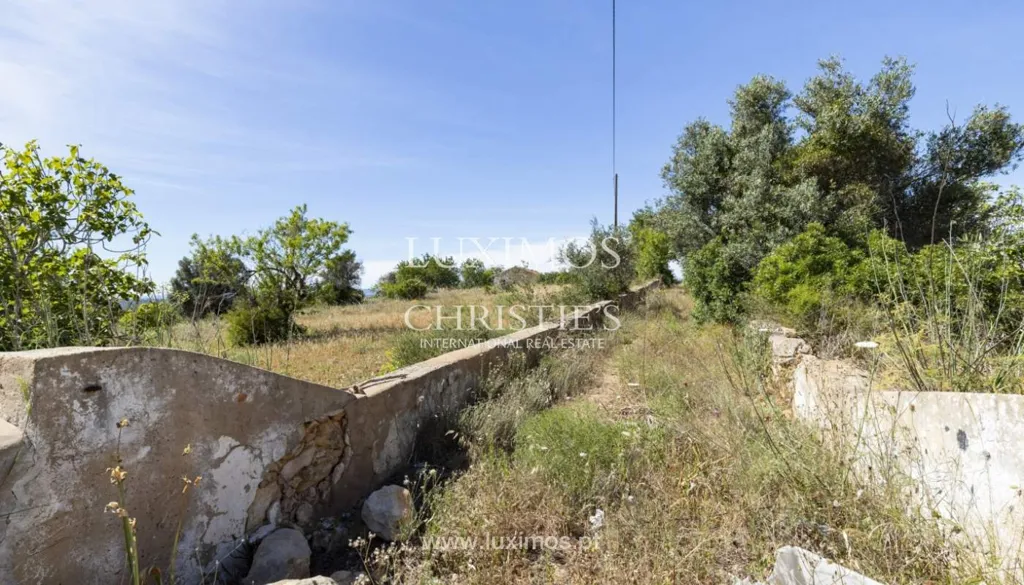 Jardin - Rural Quinta with Hotel Potential in Alcantarilha