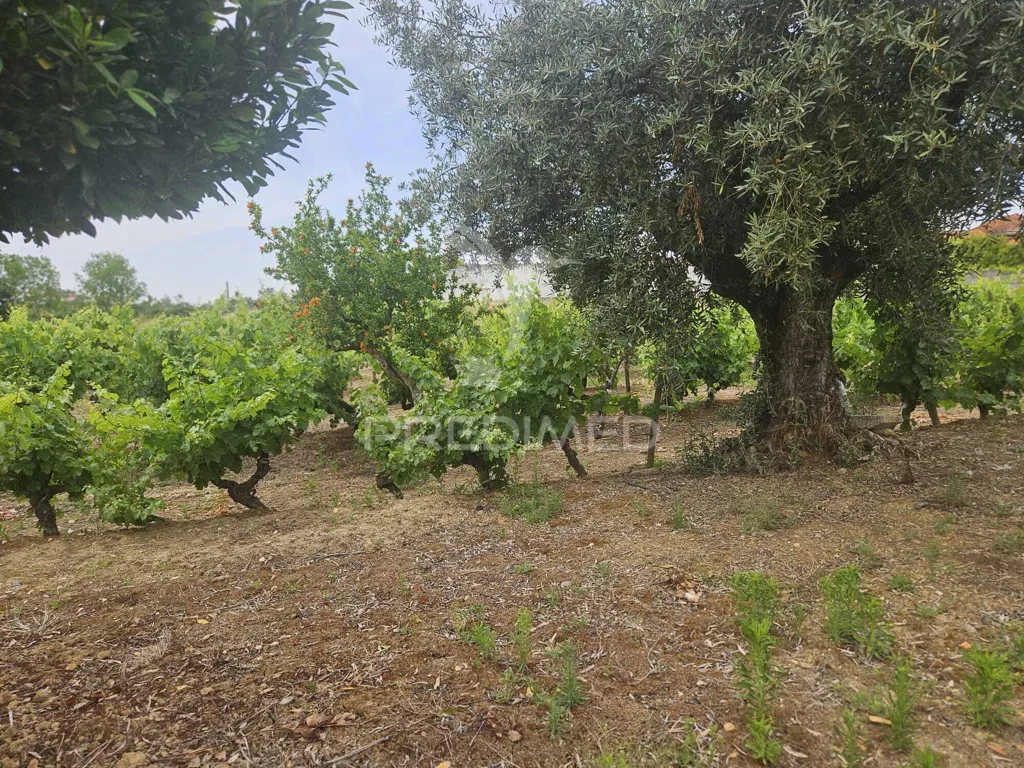 Giardino - Urban Plot with Construction Potential in Valdonas