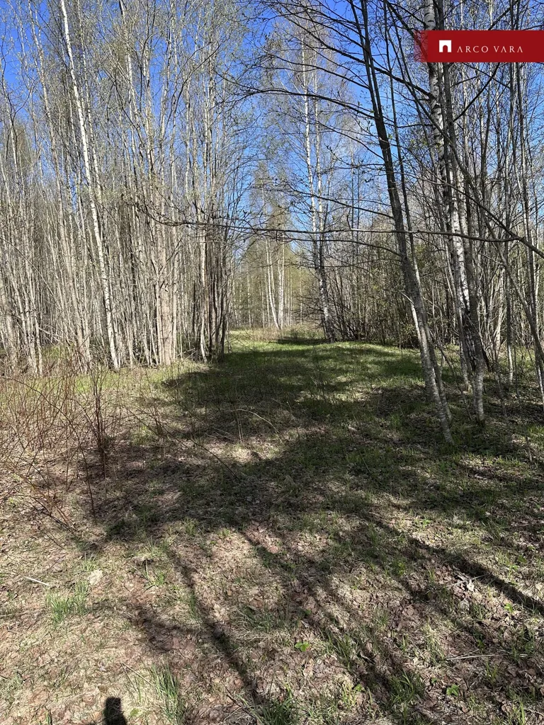 Aed - Unbuilt Plot with Riverfront in Rannapungerja