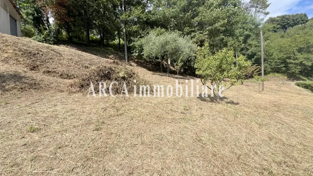 Jardin - Rustic Casale with Panoramic Views in Camaiore