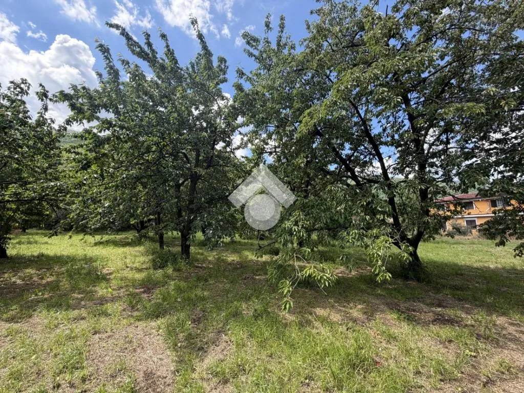 Jardin - Agricultural Land with Cherry Trees in Cervinara