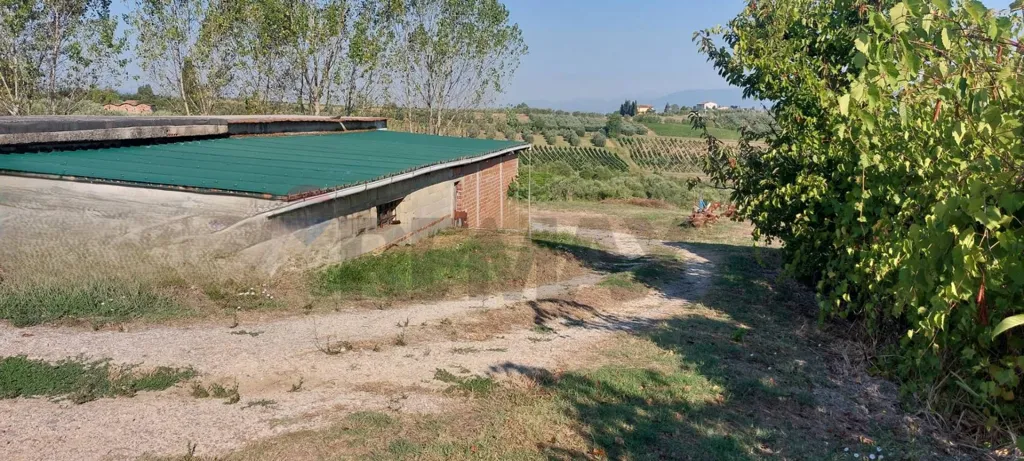 Aed - Wine Cellar with Vineyard in Vinci