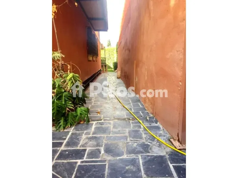Garden - Chalet with Terrace in Pedregalejo, Málaga