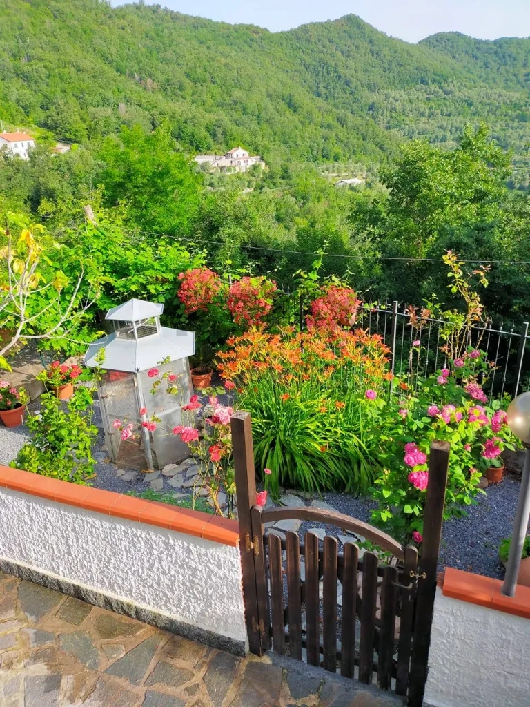 Aed - Stone House with Terrace in Testico