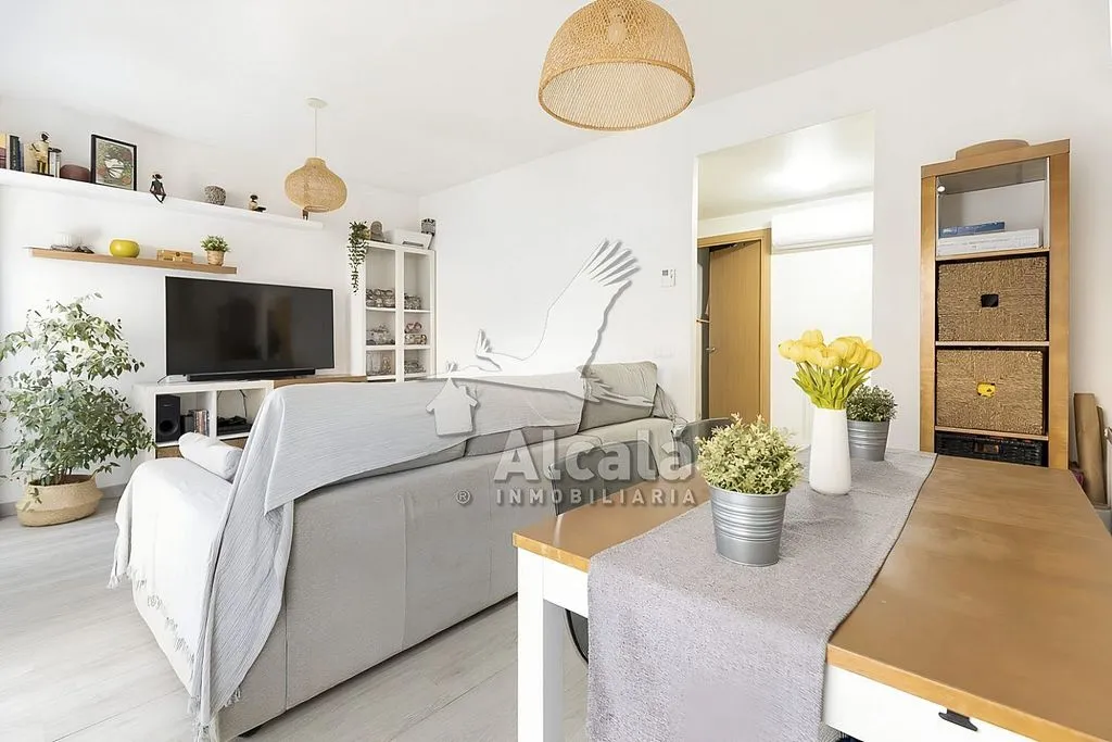 Séjour - 1-Bed Flat with Pool in Los Hueros
