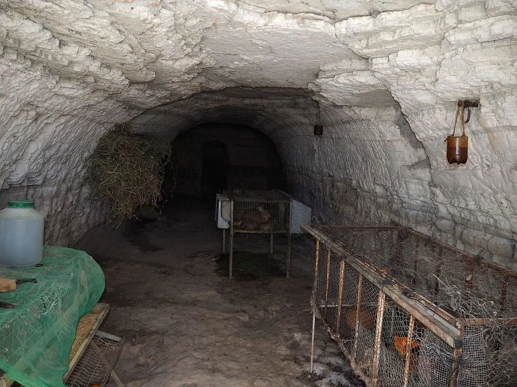 Toad - Unique Cave House in Benamaurel, Granada