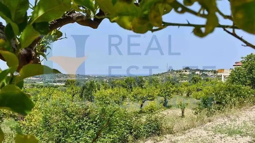 Jardin - Villa with Lemon Grove near Noto