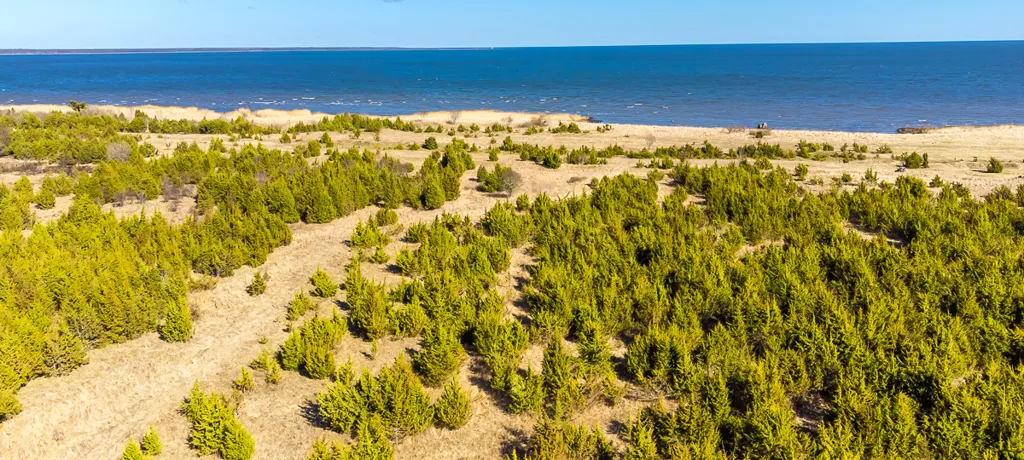 Kinnisvara asukohas Saaremaa