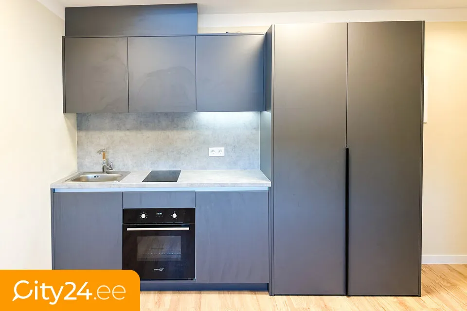 Köök - Furnished Studio in Art Nouveau Building, Riga Centre
