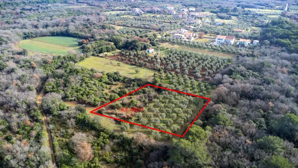 Aerial - Olive Grove Land in Fondole, Istria