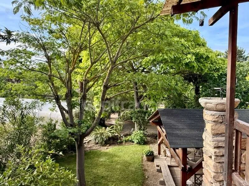 Jardin - Propriété de Caractère avec Parc à Limoux