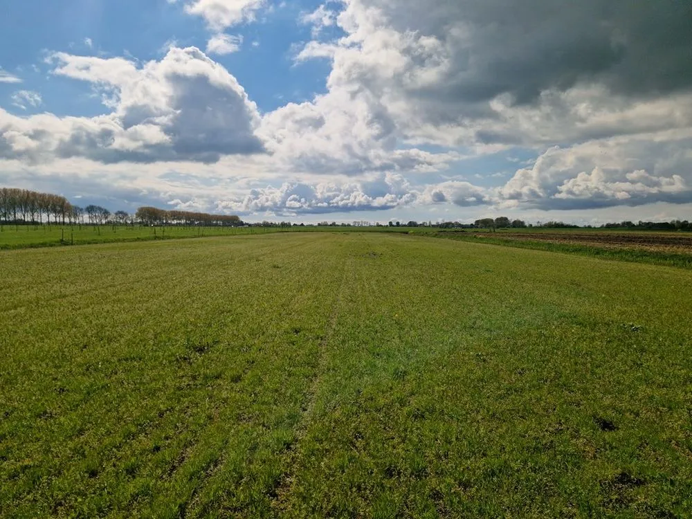 Giardino - Landscaped Building Plot with Privacy in Woubrugge