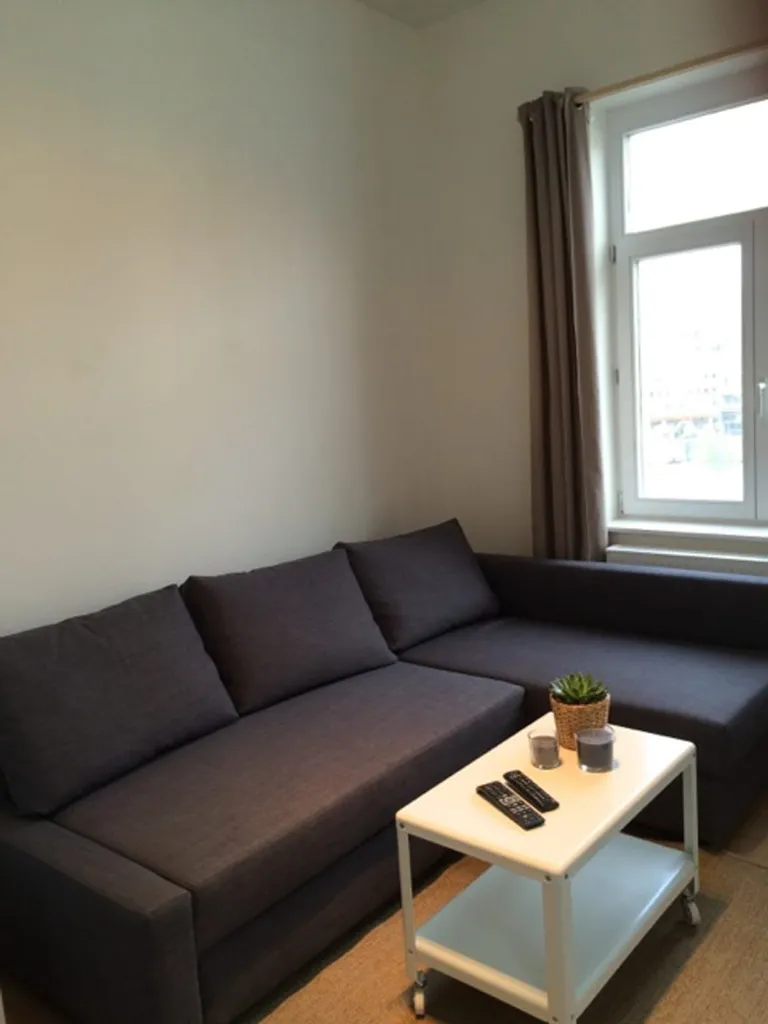 Séjour - Studio Lumineux avec Vue sur les Ponds à Ixelles
