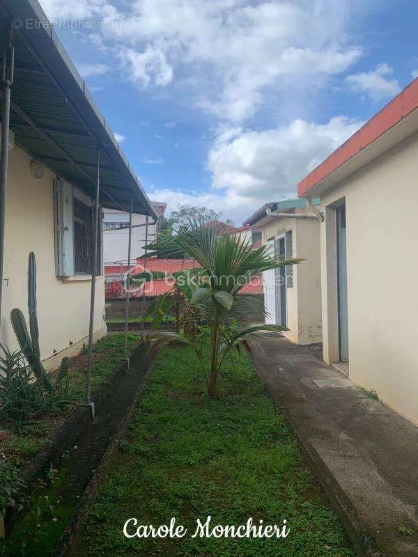 Jardin - Maison avec Atelier et Studio à Basse-Terre