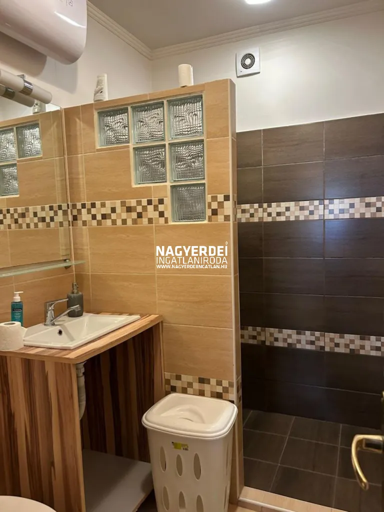 Bathrooms - Renovated Brick Flat with Balcony in Debrecen