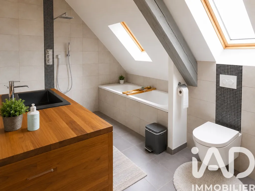 Bagni - Atypical Duplex Apartment with Terrace in Strasbourg