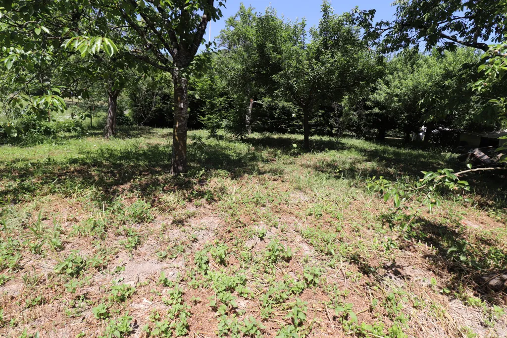 Aed - House with Orchard and Rill in Husseren-Wesserling