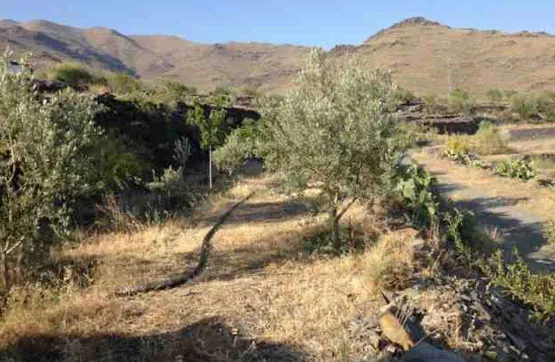 Giardino - Land Parcel in Senés, Almería