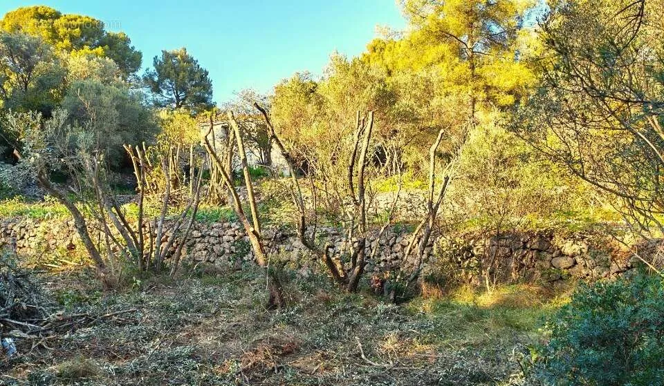 Aed - Buildable Plot with Garden in Toulon