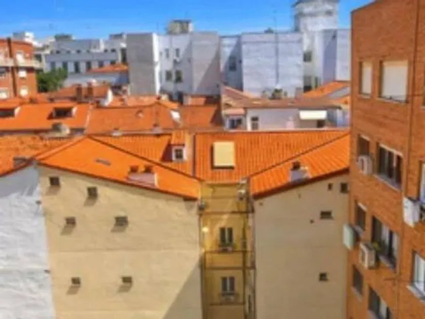 Terrazza - Bright Apartment in Central Chamberí