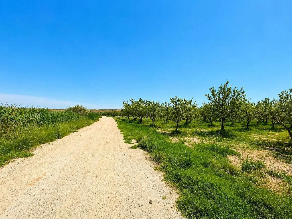 Aed - Rustic House with Pool near Belchite