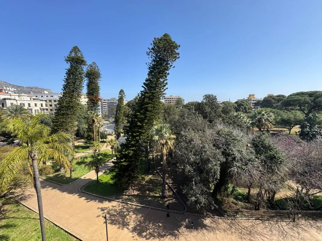 Renovated Apartment with Terrace in Palermo