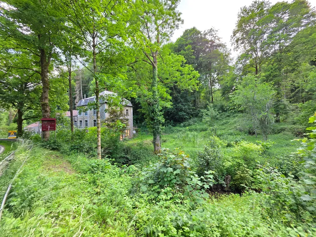 Aed - Large House with Extensive Grounds in Durbuy
