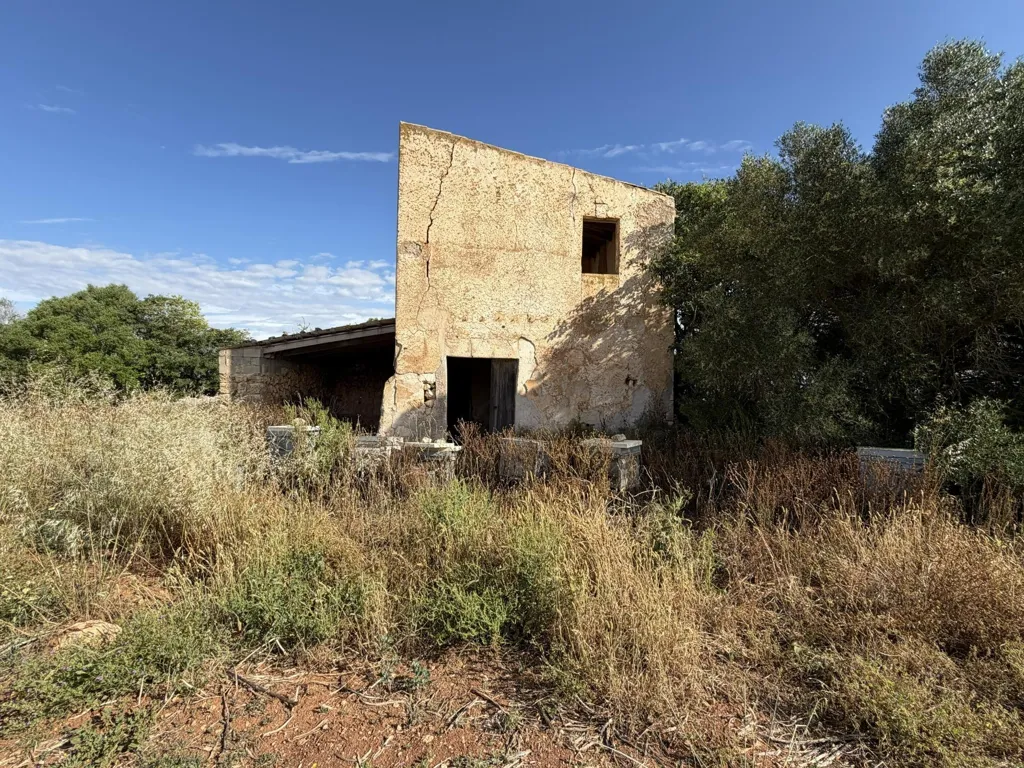 Exterior - Rustic Plot with Development Potential in Manacor