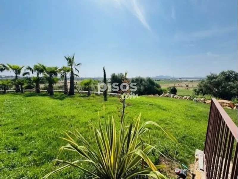 Jardin - Rustic Finca with Pool near Manacor
