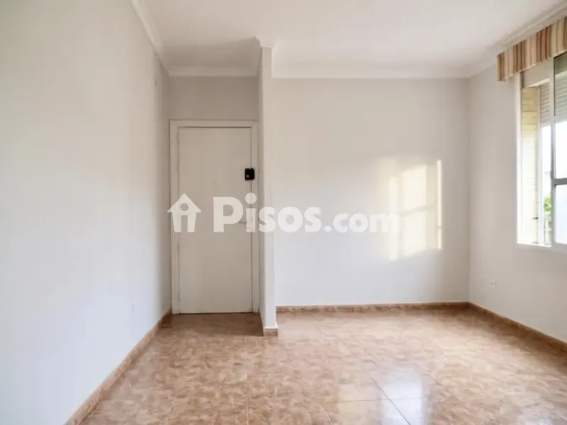 Toad - Apartment with Exterior Views in Triana