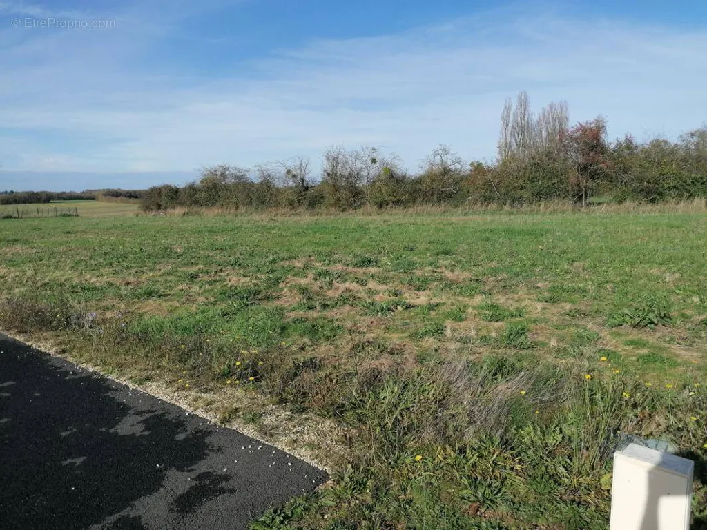 Jardin - Terrain Constructible avec Vue Dégagée à Sevres-Anxaumont