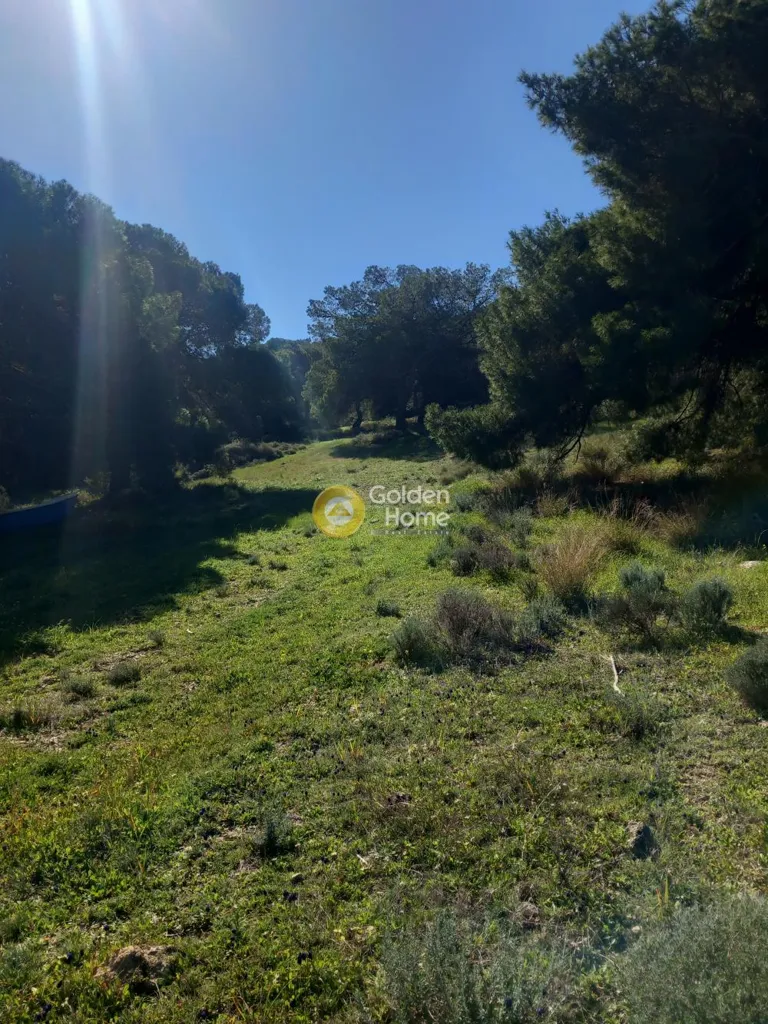 Jardin - Plot with Sea View in Central Area