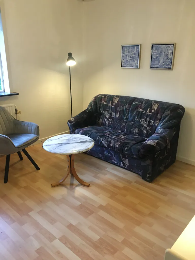 Séjour - Shared Villa Room with Parking in Copenhagen