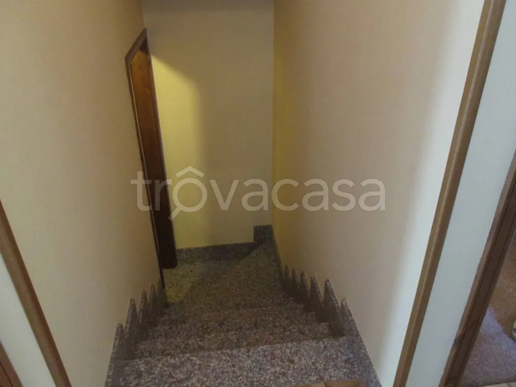 Toad - Detached House with Garden in Demonte