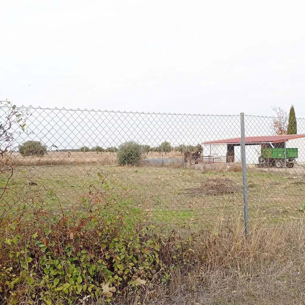 Jardin - Rustic Plot in Tranquil Yepes, Toledo