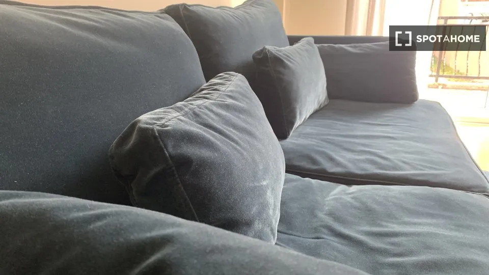 Séjour - Chambre à Louer dans Appartement 3 Pièces à Paris