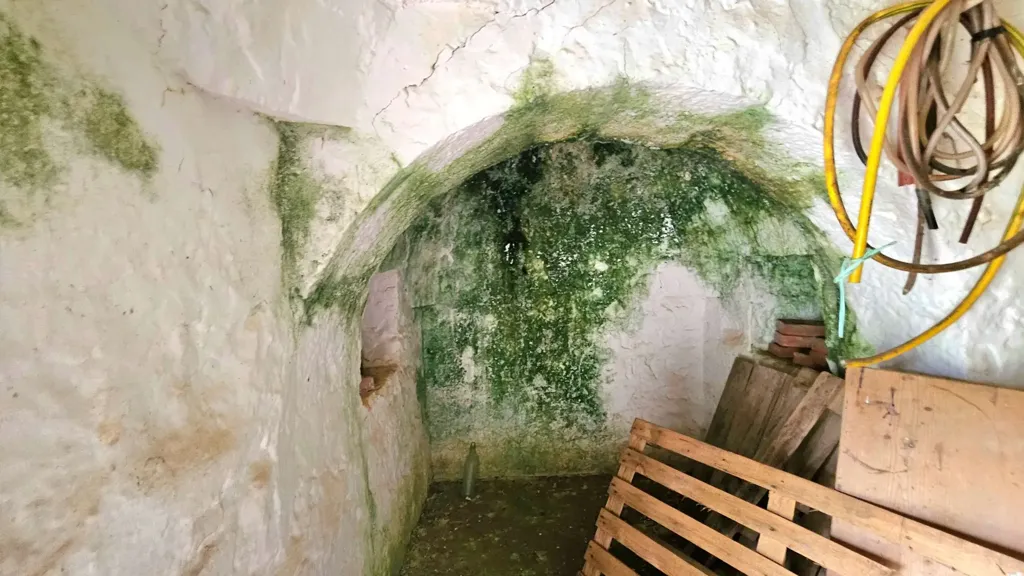Stanze - Trullo da ristrutturare con terreno a Carovigno