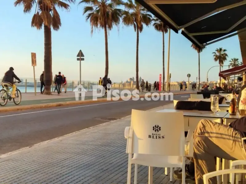 Seafront Apartment with Garden Access in La Coruña