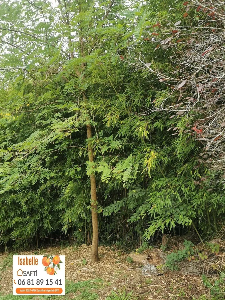 Jardin - Maison au calme avec jardin à Demu