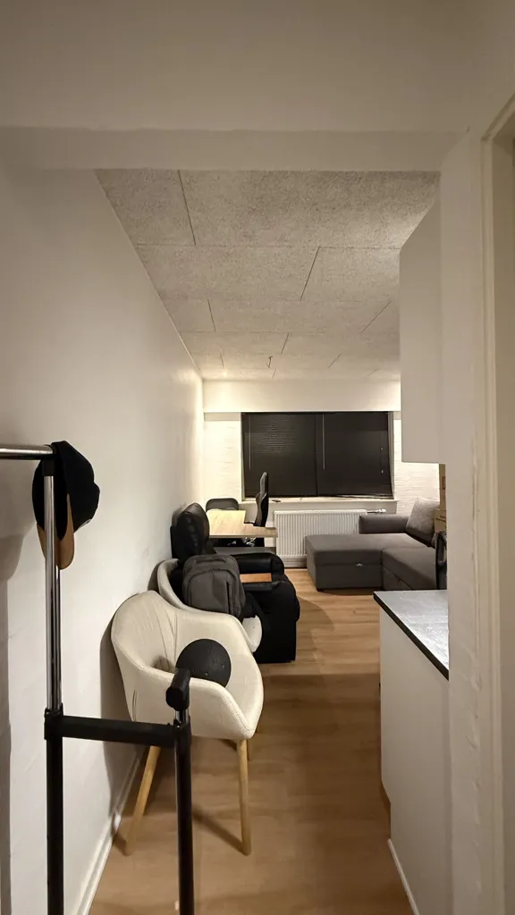 Soggiorno - Modern Studio Flat with Direct Cable in Copenhagen