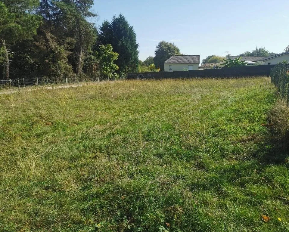 Aed - Buildable Plot with Garden in Roaillan