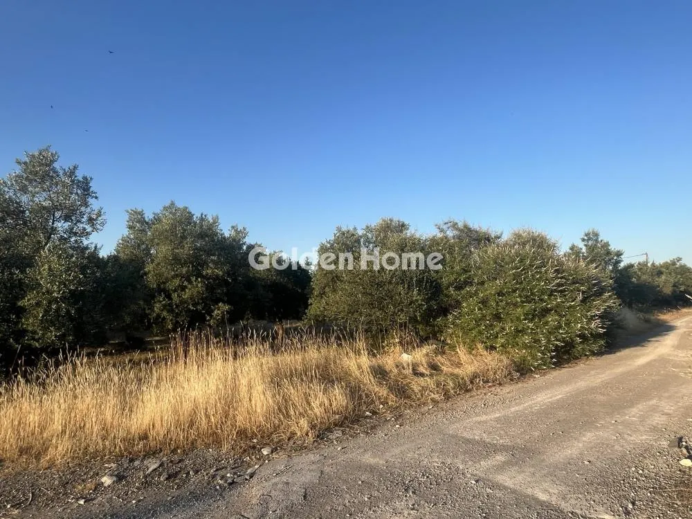 Giardino - Commercial Plot with Olive Trees in Traganá