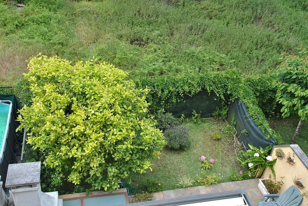 Vue aérienne - Terraced House with Garden in Cangas