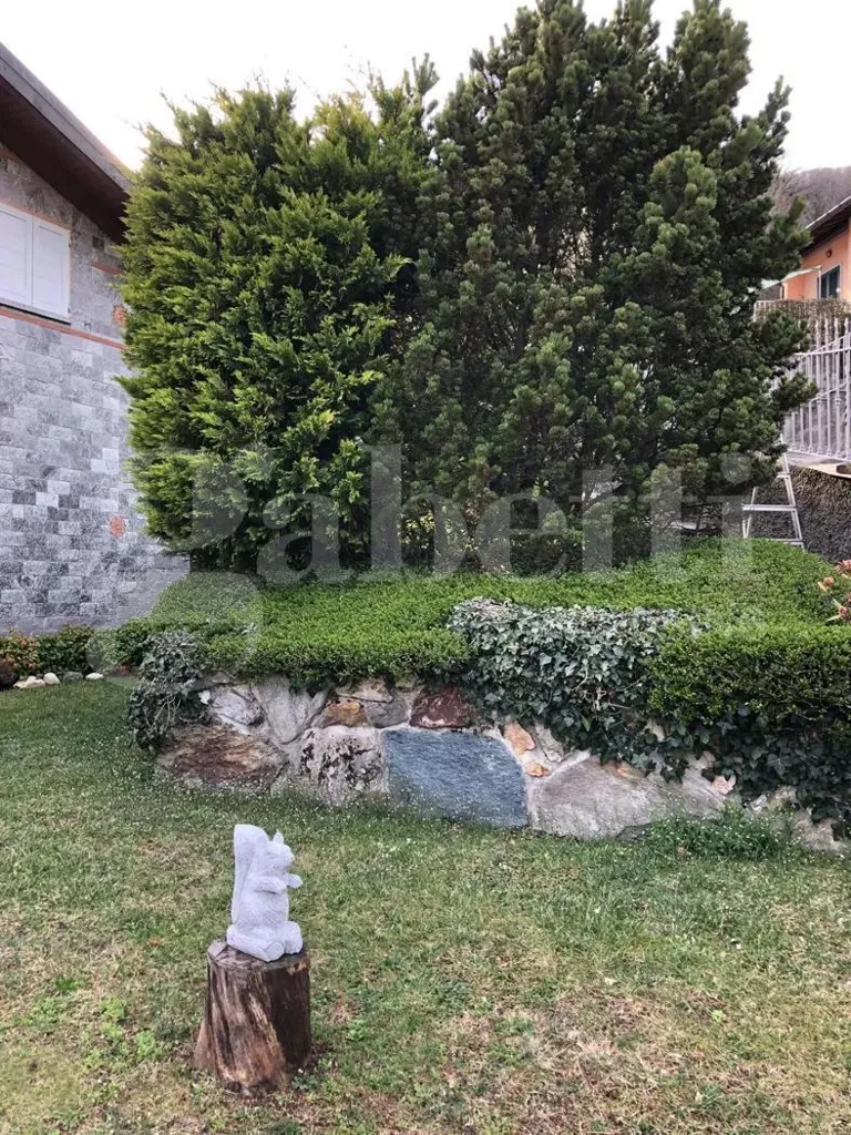 Giardino - Panoramic Villa with Garden in Asso (CO)